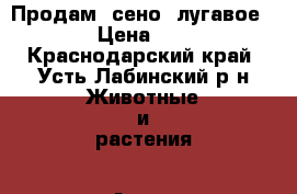 Продам  сено  лугавое    › Цена ­ 150 - Краснодарский край, Усть-Лабинский р-н Животные и растения » Аксесcуары и товары для животных   . Краснодарский край